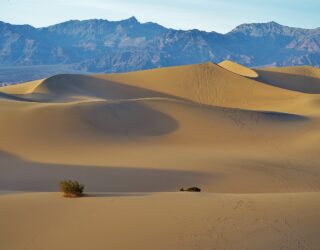 Mesquite dunes in Death Valley bij zonsondergang