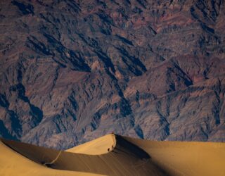 Mesquite dunes in Death Valley