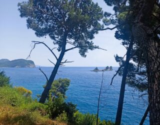 Heerlijke hike in Petrovac