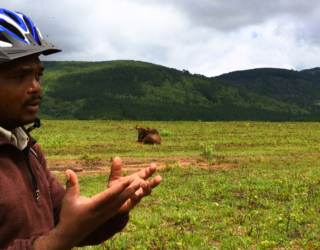 Fietsgids in een wildreservaat in Swaziland