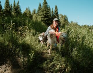 Op avontuur met husky's in het bos in Canada