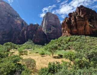 Landschappen in Zion National Park