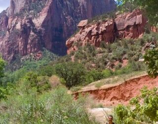 Papa met kinderen in Zion National Park