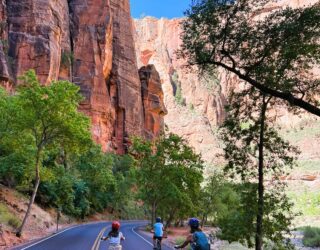 Cruisen door Zion National Park