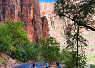 Cruisen door Zion National Park