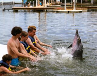 Familie zwemt met dolfijnen Key West