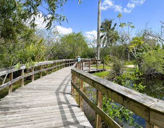 Wandelpaden in Everglades National Park