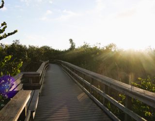 Wandelpad Everglades National Park