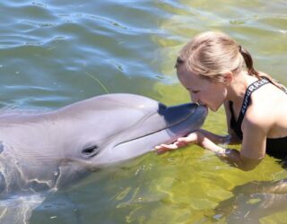 Kind zwemt met dolfijnen Key West