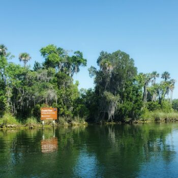 Crystal River in Florida