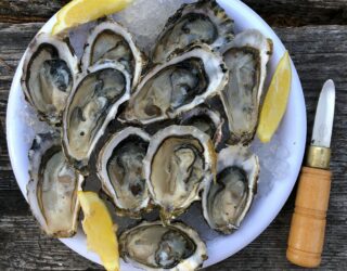 Heerlijke oesters in Knysna