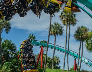 Rollercoaster in Busch Gardens