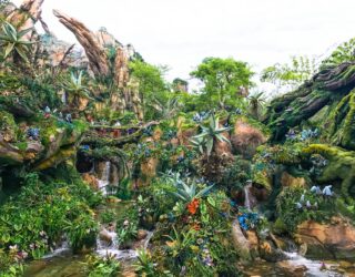 Bezoek Animal Kingdom Disney World