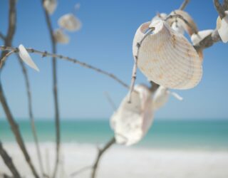 Schelpenversiering strand Naples