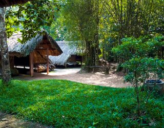 Omgeving rond de Cu Chi tunnels