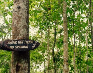Het bos van de Cu Chi Tunnel