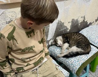 Jongen kijkt naar een slapende kat