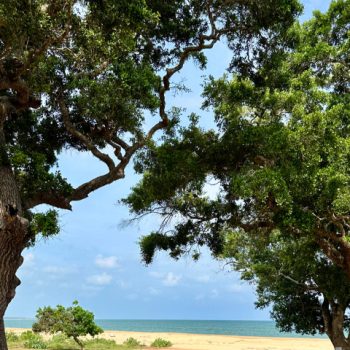 Prachtig uitzicht van natuur in Yala