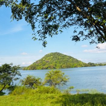 Habarana natuur