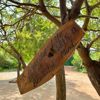 Bordje in Yala park