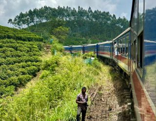 Met trein door theeplantages