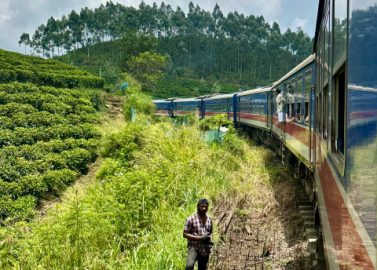 Met de trein door theeplantages