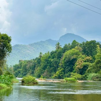 Jungle Sri Lanka
