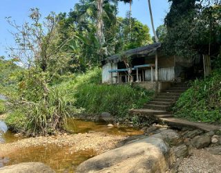 Hike door jungle
