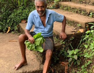 Local in jungle