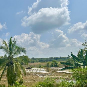 Platteland in Weerawila