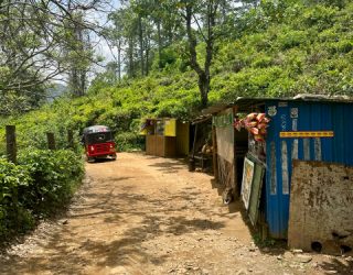 Op weg naar Little Adam’s Peak