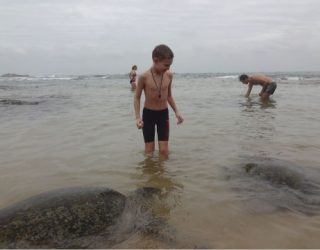 Schildpadden spotten in de zee