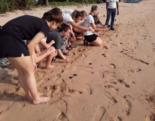 Schildpadden spotten op het strand