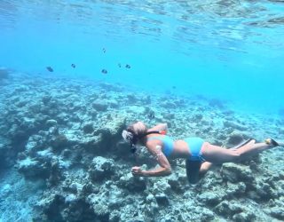 Snorkelen en vissen spotten in de Malediven