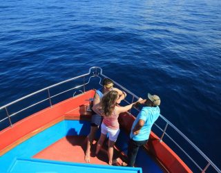 Walvissen en dolfijnen spotten op boot