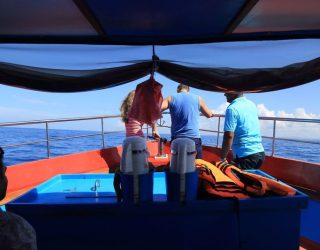 Op de boot walvissen en dolfijnen spotten