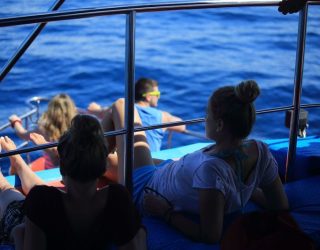 Spot walvissen en dolfijn op een boot in Tangalle