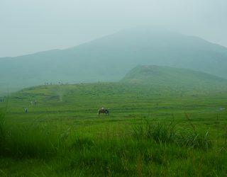 Natuur Aso