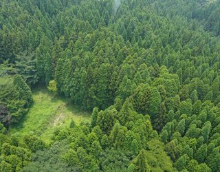 Uitzicht op natuur vanuit helikopter in Aso Japan