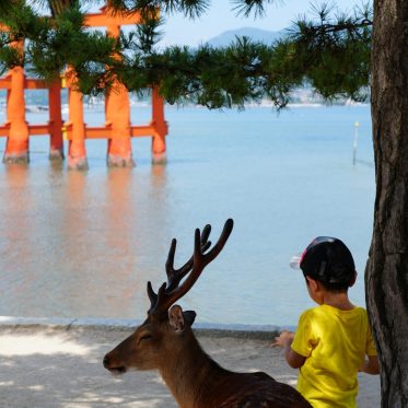 Kindje en hertje bij torii-poort Japan