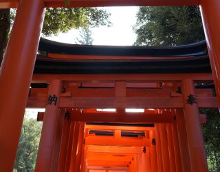 rode torii-poorten in Japan