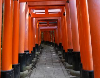 Doorgang rode torii-poorten Japan