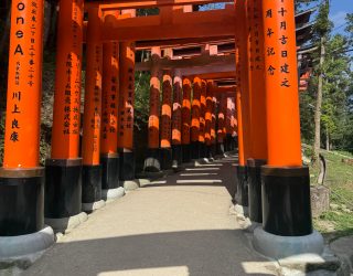 rode torii-poorten Japan