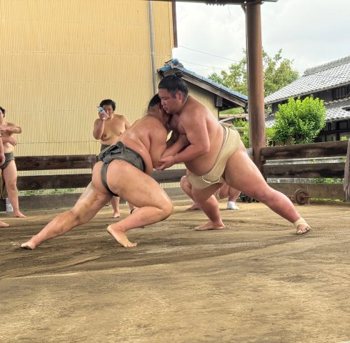 Sta oog in oog met sumoworstelaars
