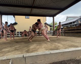 Sumo training