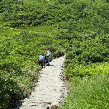 Vertrek uit Hakuba
