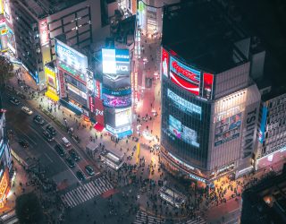 crossing Shibuya
