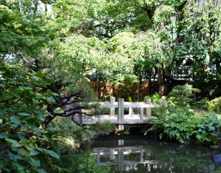 Omgeving bij Japanse theeceremonie