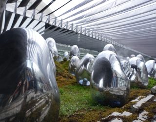 Zilveren ballen teamLab