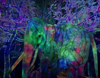 Gekleurde olifant teamLab